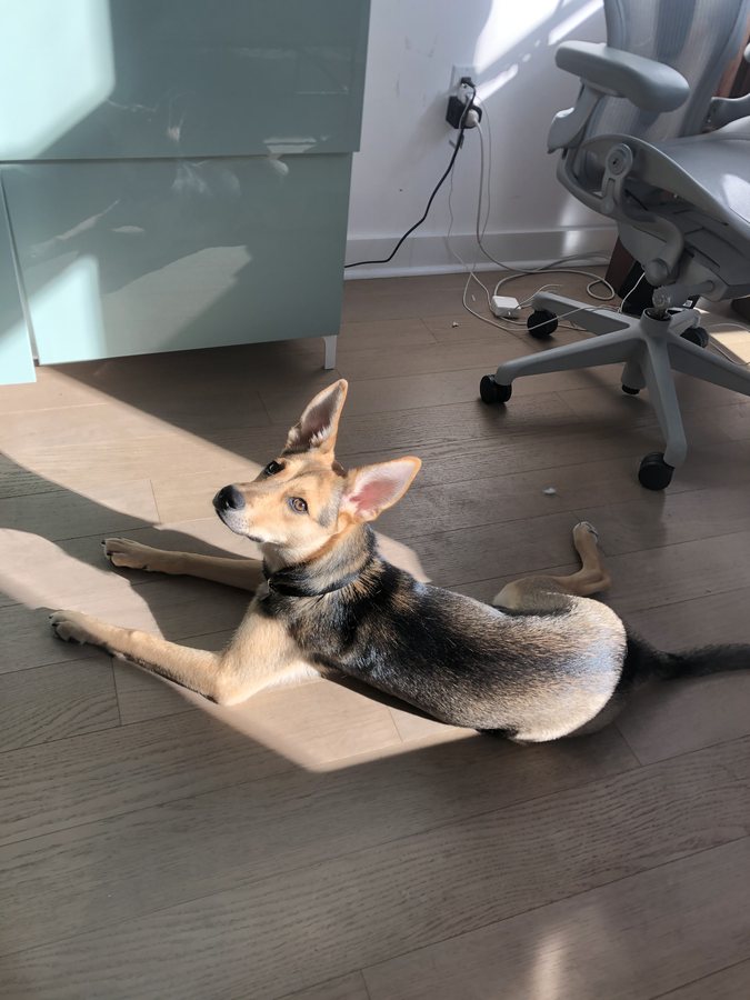 Nika