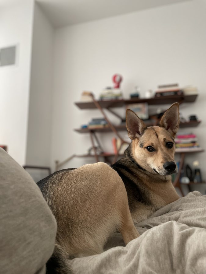Nika