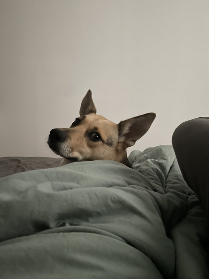 Nika