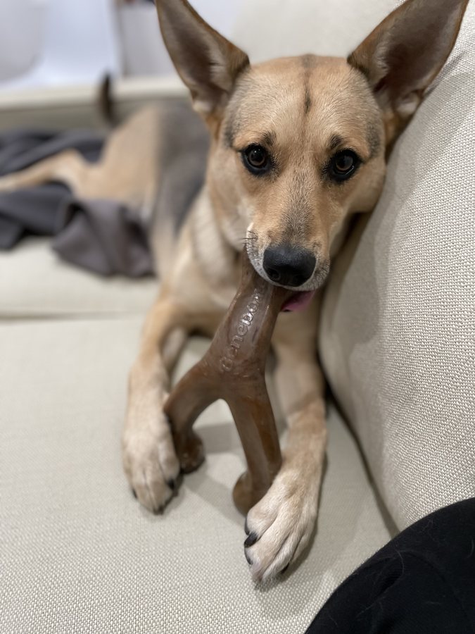 Nika