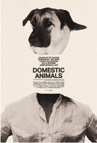 Domestic Animals — poster