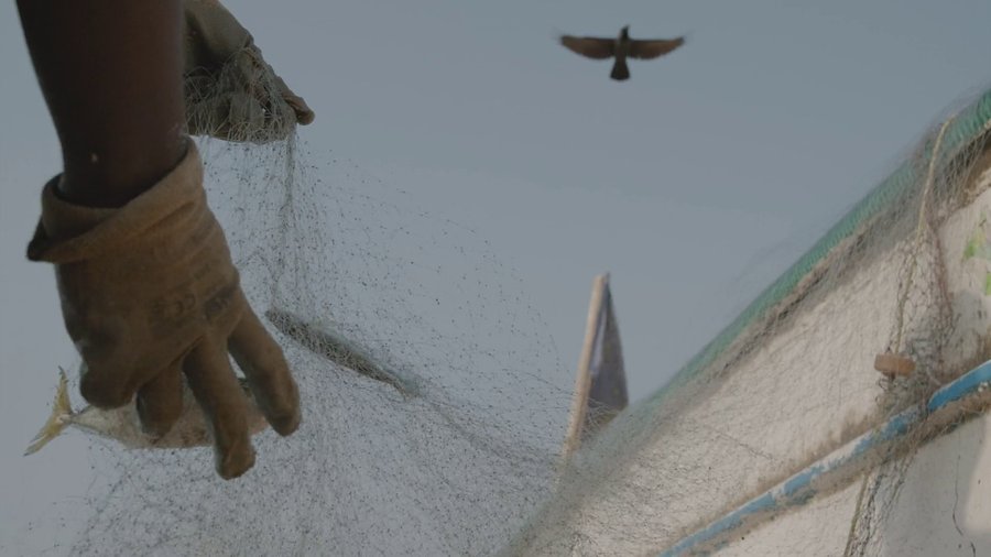 Go Fish — still: gloved hands untangle a fishing net as a bird flies overhead
